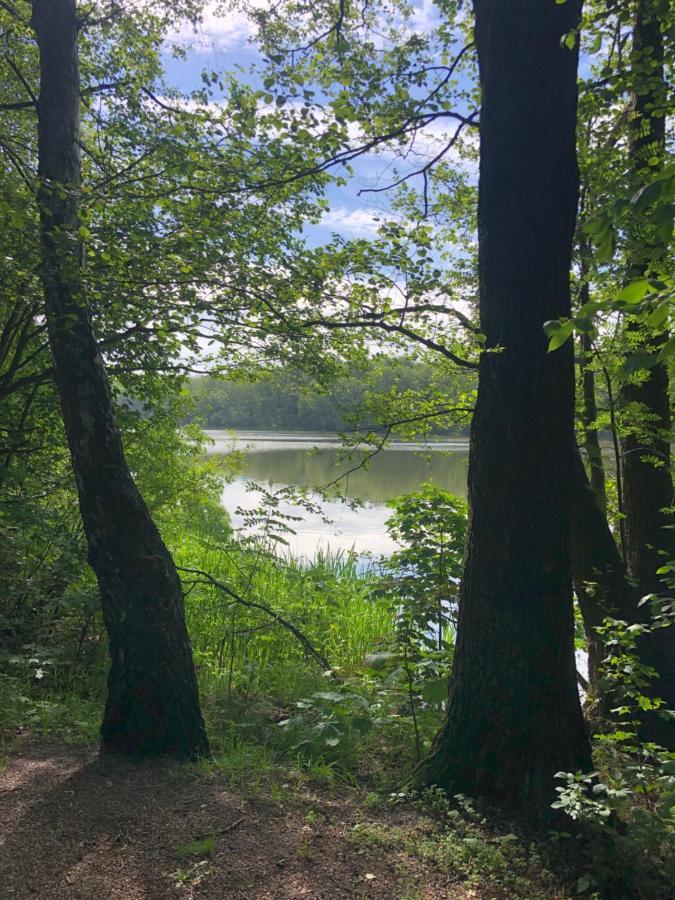 Noclegi Gdansk Pokoje Goscinne Dış mekan fotoğraf